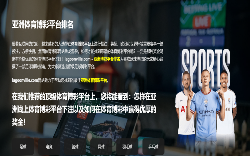 博彩平台排名——行业领先的最佳轮盘赌博网站