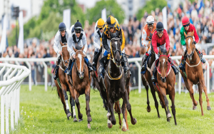 赛马投注是世界上最古老、最受欢迎的体育博彩之一