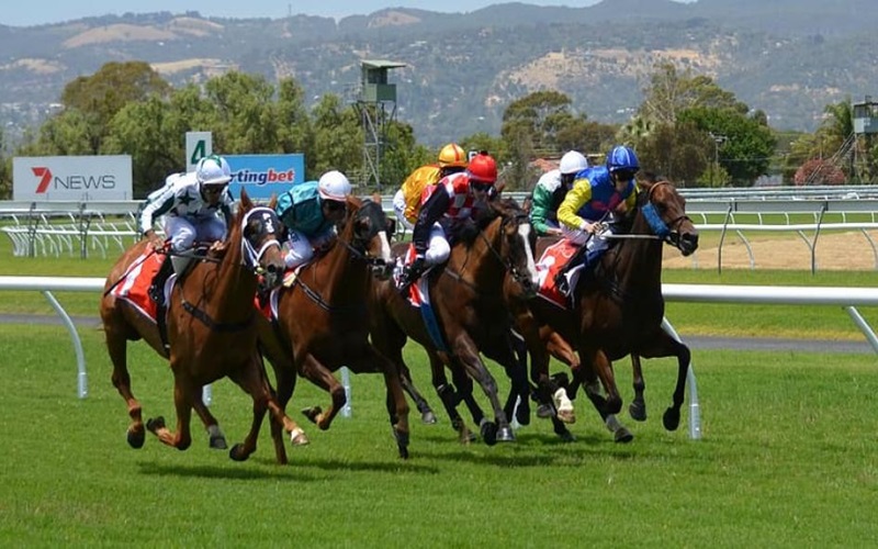 赛马投注起源于英国，随后传播到全球。