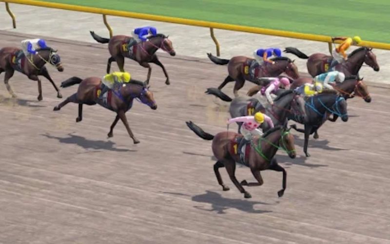 赢在起跑线：选择博彩平台排名作为最佳赛马网站