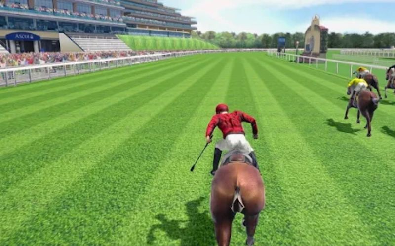 踏上赛马之路：博彩平台排名引领最佳投注体验