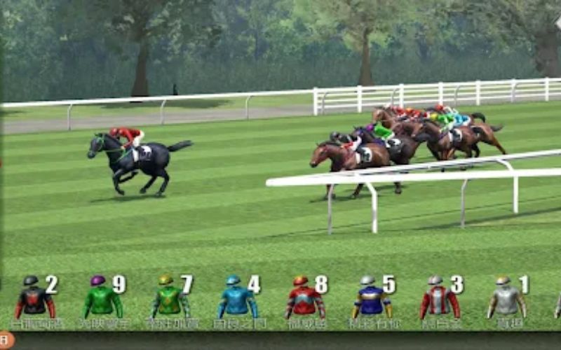 高清赛事直播与高赔率：博彩平台排名最佳赛马网站推荐