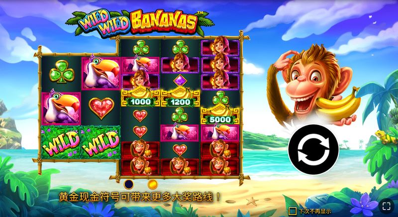 WILD——你的万能赢奖钥匙！