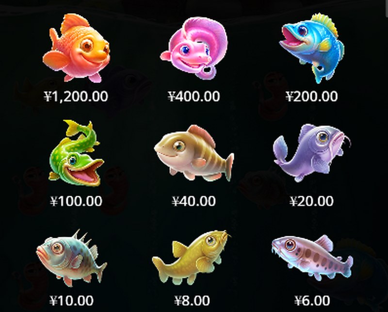 MONEY COLLECT —— 一网打尽财富机会！