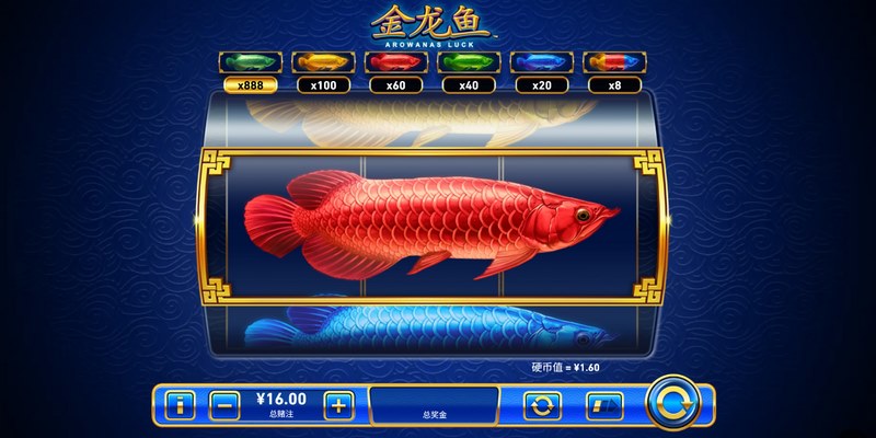 金龙鱼是什么游戏呢？